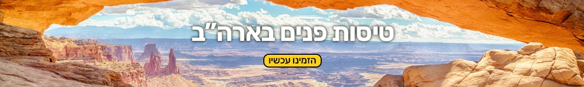 טיסות פנים ארהב