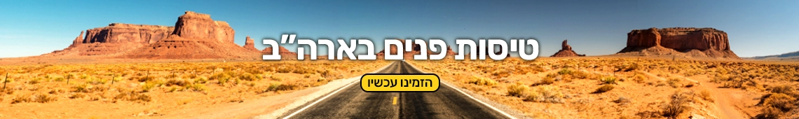 טיסות פנים ארהב